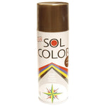 PINTURA SPRAY SOL COLOR